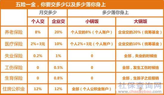 工资3000五险交多少(工资3000五险交多少钱一个月)