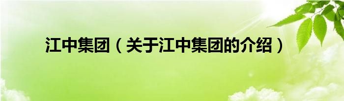 江中集团(江中集团被华润控股了吗)