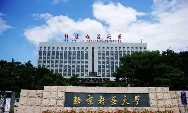 北京大学占地面积多少亩(全国超过4000亩的大学)